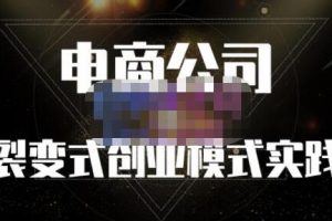 电商模式及创业过程，聚草堂《电商公司裂变式创业模式实践》