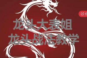 龙头大表姐《龙头战法教学》炒股教程视频
