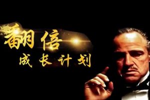 游资教父-炒股技巧《翻倍成长计划》实战股票讲座视频教程
