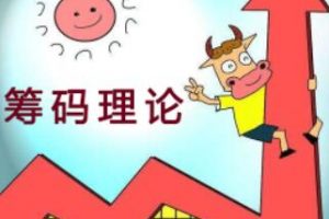 炒股基础知识讲座，股民学院，巅峰筹码理论视频教程