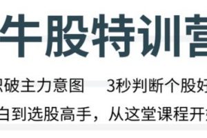 无为李栋炒股技巧《牛股特训营》从小白到选股高手讲座视频