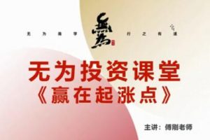 无为傅刚《赢在起涨点》寻底涨停战法视频讲座