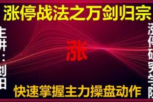 剑阳《万剑归宗涨停战法》炒股教程视频