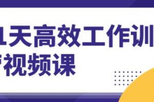 21天高效工作训练营培训视频讲座，教你成为解决问题的高手