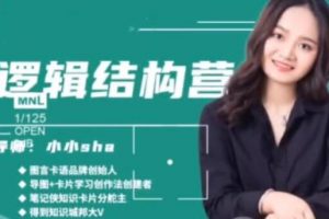 小小sha《逻辑结构思维营》培训课程