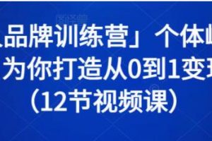 《个人品牌训练营》个体崛起的时代，为你打造从0到1变现系统