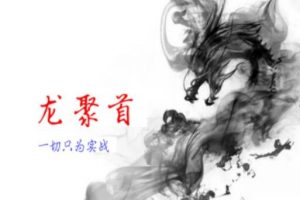 龙聚首《涨停龙高升体系课程》第三期 首板+二板