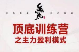 无为《抄底逃顶实战训练营》