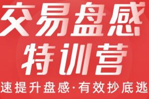 交易盘感特训营（259期）快速提升盘感，有效抄底逃顶