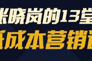 张晓岚《13堂低成本营销课》视频