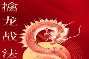 无为《股道擒龙术训练营》炒股教程