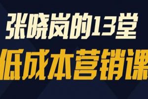 张晓岚《13堂低成本营销课》视频