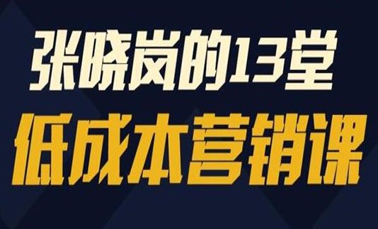 张晓岚《13堂低成本营销课》视频