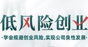 低风险创业讲座：学会规避创业风险，实现公司良性发展，打造稳定现金流