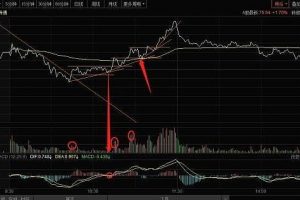 炒股教程《龙空龙猎手交易体系》课程