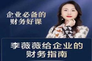 企业必备的账务好课《李薇薇给企业的财务指南》