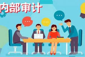 《企业内部审计讲解》视频