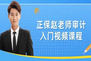《审计入门视频》课程