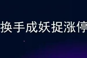 炒股教程《换手成妖捉涨停》牛散专属