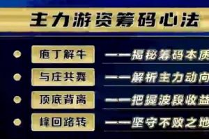 炒股教程《主力游资筹码心法》牛散特训营