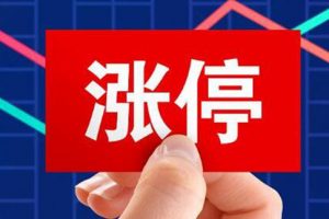 炒股教程《涨停趋势实战初阶课》视频