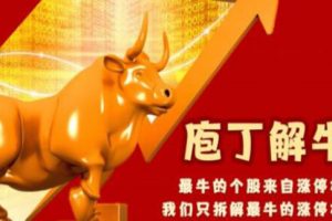 李晓光《庖丁解牛》经典涨停牛股综合剖析