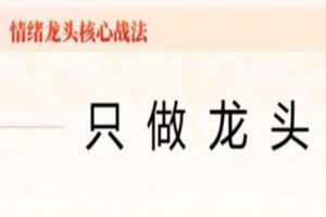 炒股教程《情绪龙头核心战法》只做龙头