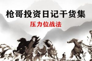 《压力位战法》枪哥投资日记干货集