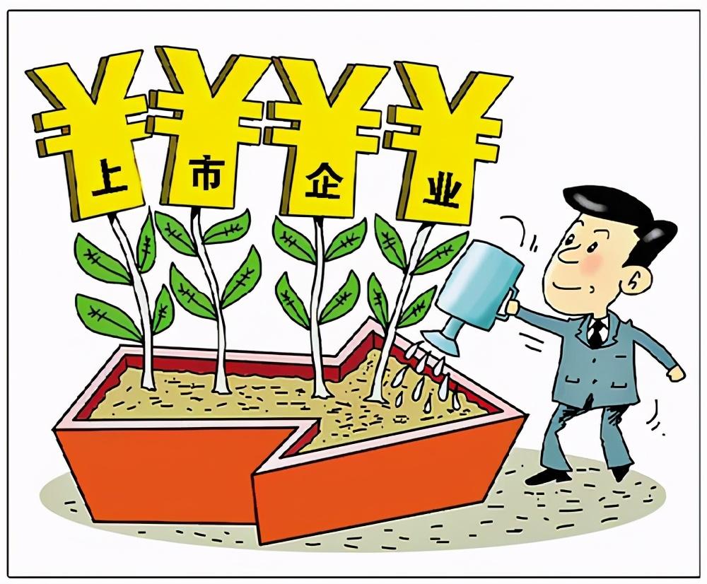 怎么查上市公司财务报表