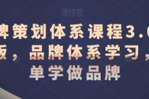 《品牌策划体系课程3.0升级版》品牌体系学习