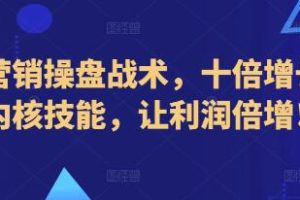 《新营销操盘战术》十倍增长的内核技能，让利润倍增！