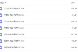 鬼谷子讲座，兰彦岭鬼谷子绝学全集视频讲座