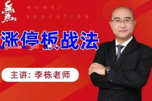 无为李栋《涨停板战法》视频