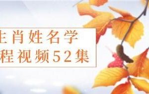 《生肖姓名学》视频教程