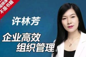 许林芳《企业高效组织管理》课程视频
