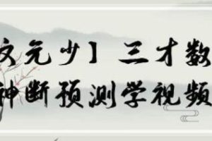 文元少《三才数字》神断预测学视频