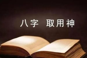 京南道人高徒易尘《旺衰取用》13集视频