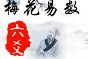 梅花五瓣开《梅花六爻》课程