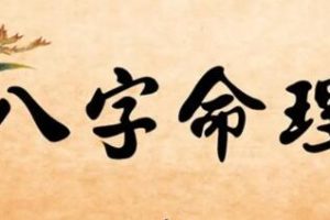 拂尘子《四柱八字命理》课程视频