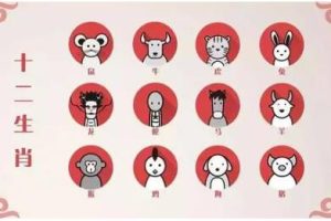 拂尘子《生肖定制开运头像特训班》课程视频