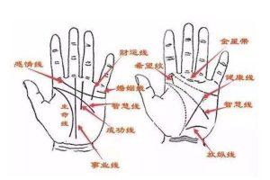 《传统手相结合西方占星理论》零基础入门到精通，真人案例
