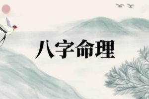 左林《八字命理实战》视频课程18集