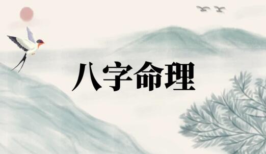 左林《八字命理实战》视频课程