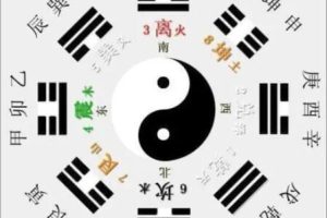 杨思坤《八卦象数》系列网课