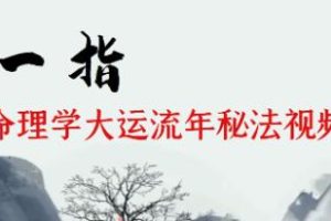 张一指《统命理学大运流年秘法》视频64集