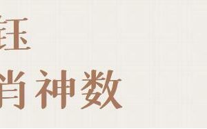 承钰《生肖神数》