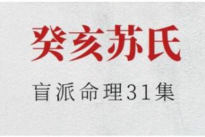 癸亥苏氏《盲派命理》视频