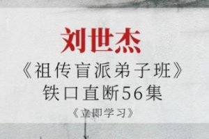 刘世杰《祖传盲派弟子班》铁口直断56集