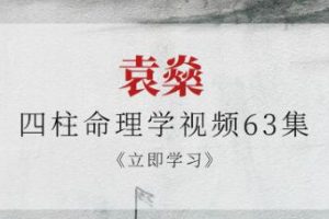 袁燊《四柱命理学视频》63集