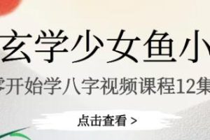 鱼小姐《从零开始学八字》视频